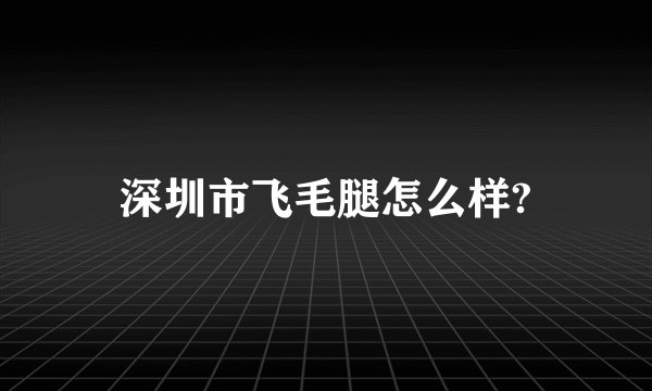 深圳市飞毛腿怎么样?