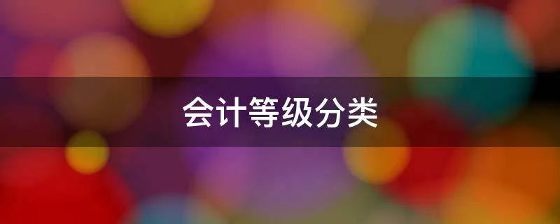 会计等级分类