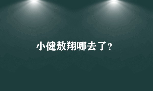 小健敖翔哪去了?