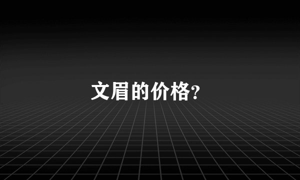 文眉的价格？