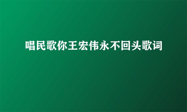 唱民歌你王宏伟永不回头歌词