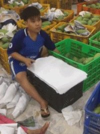刘强东做了村长,你怎么看?
