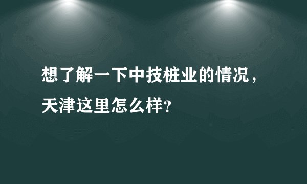 想了解一下中技桩业的情况，天津这里怎么样？