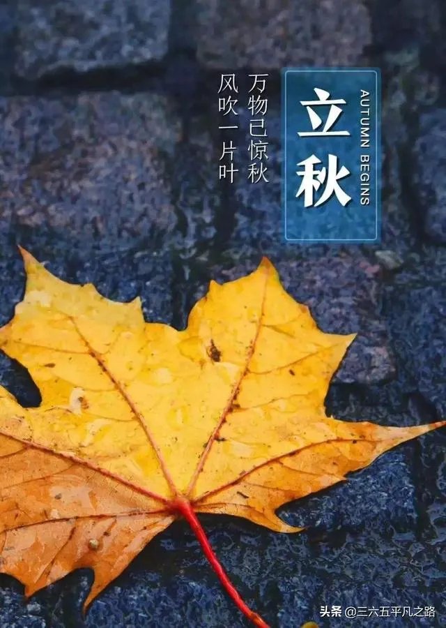 农村立秋当天忌讳