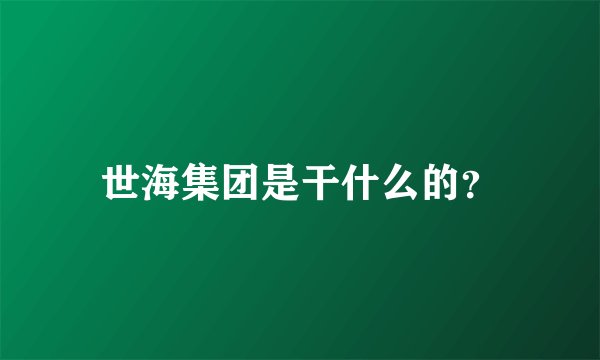 世海集团是干什么的？