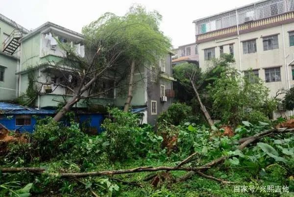 四川安岳现13级大风,遇到这种恶劣天气,当地居民们该怎么做?