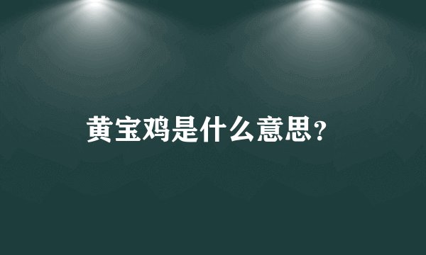 黄宝鸡是什么意思？