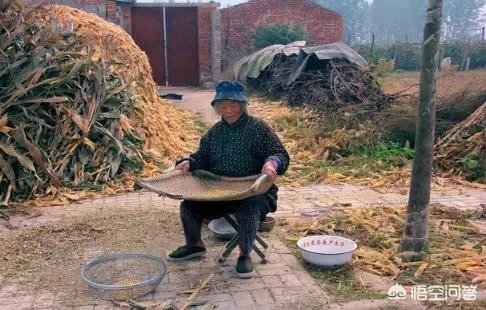 民间说:“最怕端午节水,不怕七月半鬼”到底是什么意思?
