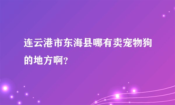 连云港市东海县哪有卖宠物狗的地方啊？