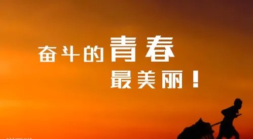 2020郑州轻工业学院录取分数_郑州轻工业学院各省录取分数线查询