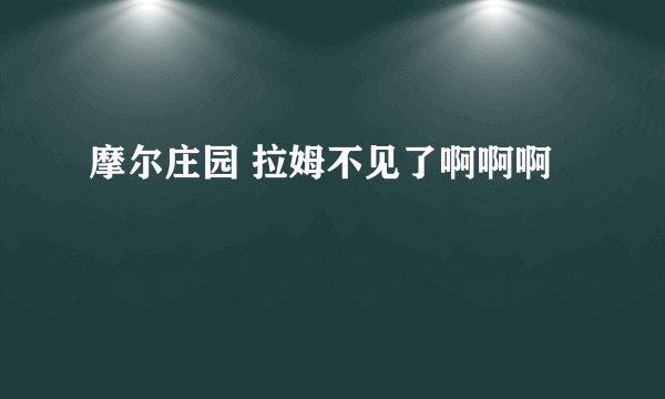 摩尔庄园 拉姆不见了啊啊啊