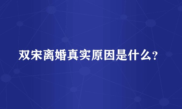 双宋离婚真实原因是什么?