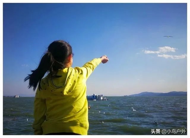 郑州郭伟鹏事件