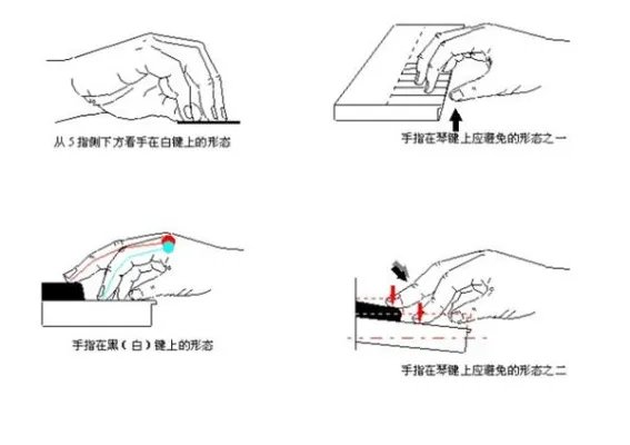 弹钢琴的正确手型到底是什么