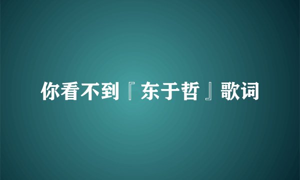 你看不到『东于哲』歌词