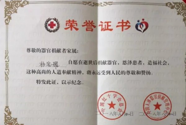 18岁女大学生捐献遗体,人体的哪些器官可以捐赠?