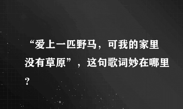 “爱上一匹野马,可我的家里没有草原”,这句歌词妙在哪里?