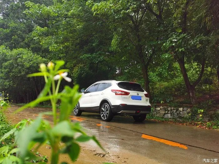 少无适俗韵,性本爱丘山,记逍客的雨林之行!