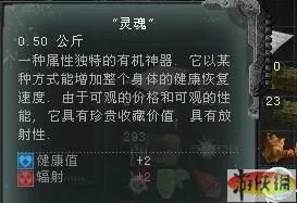 《迷失地带之普里皮亚季的召唤》“寻宝者”成就 全神器+产地简介