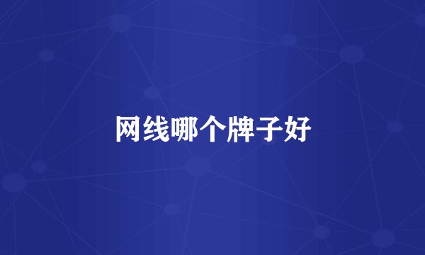 网线哪个牌子好