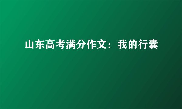 山东高考满分作文:我的行囊