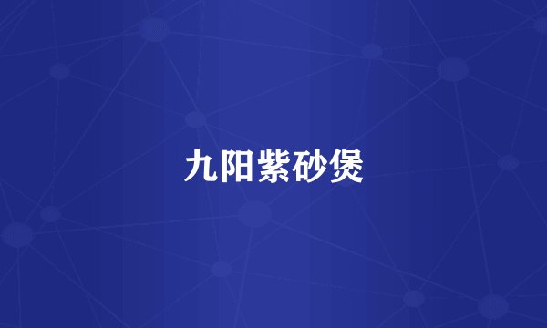 九阳紫砂煲