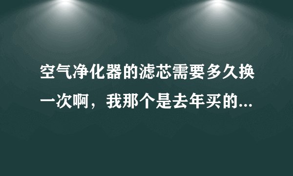 空气净化器的滤芯需要多久换一次啊，我那个是去年买的，还没怎用呢？