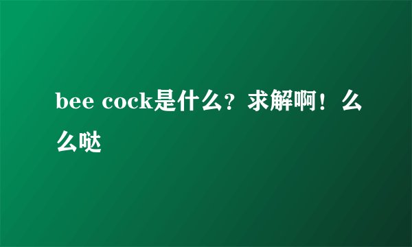 bee cock是什么？求解啊！么么哒