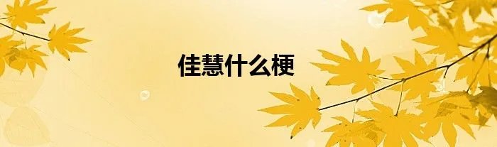 佳慧什么梗