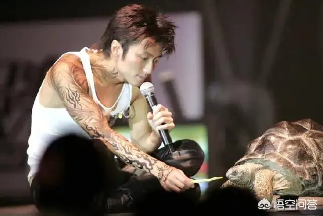 如果谢霆锋和周杰伦同时开演唱会,你会听谁的?为什么?