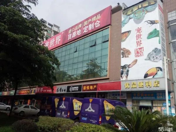深圳哪里有宠物市场?