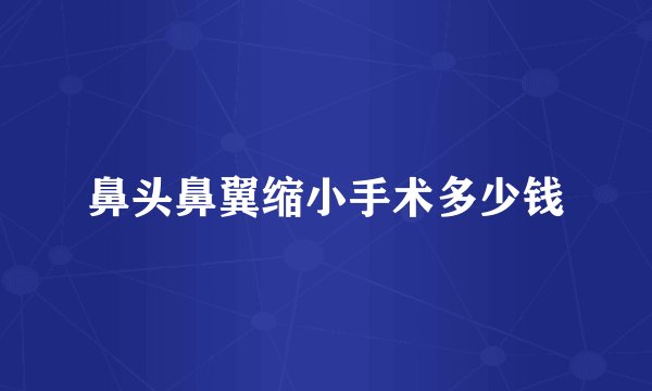 鼻头鼻翼缩小手术多少钱