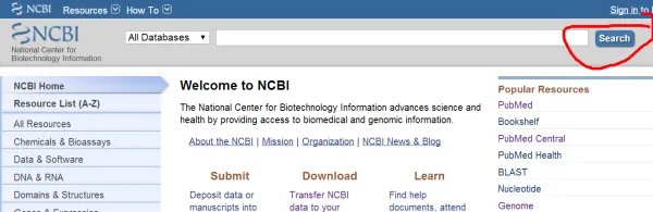 如何从NCBI主页,进入Entrez Home页面