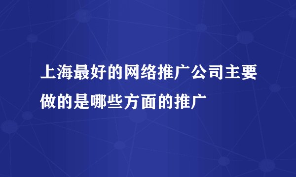 上海最好的网络推广公司主要做的是哪些方面的推广