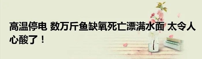 高温停电 数万斤鱼缺氧死亡漂满水面 太令人心酸了！