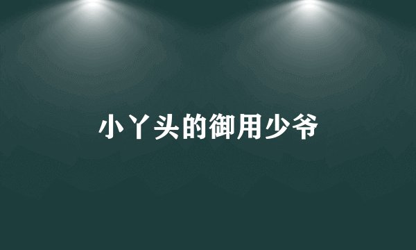 小丫头的御用少爷