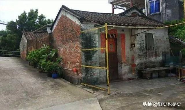 为什么佛山88岁老人被狗绊倒家属不追责?如何去理解这种做法?