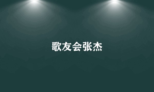 歌友会张杰