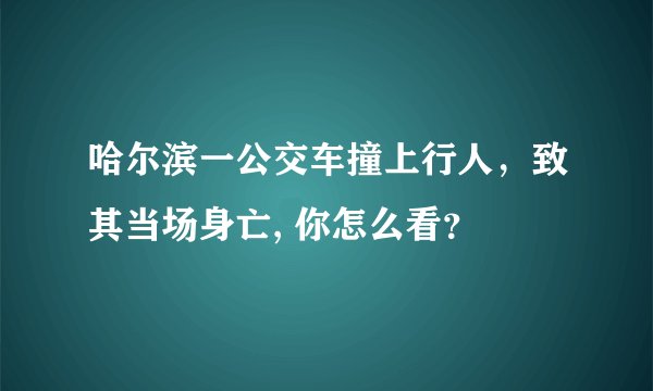 哈尔滨一公交车撞上行人，致其当场身亡, 你怎么看？