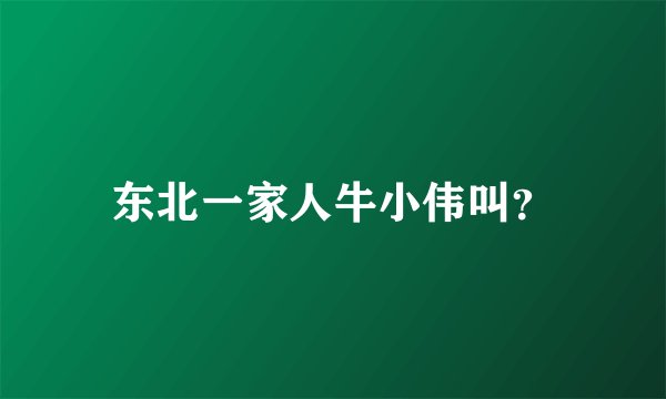 东北一家人牛小伟叫？
