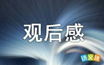 《战鸽总动员》观后感