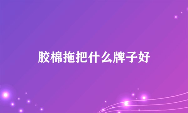 胶棉拖把什么牌子好