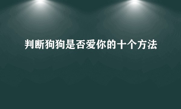 判断狗狗是否爱你的十个方法
