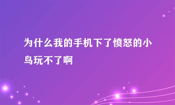 为什么我的手机下了愤怒的小鸟玩不了啊