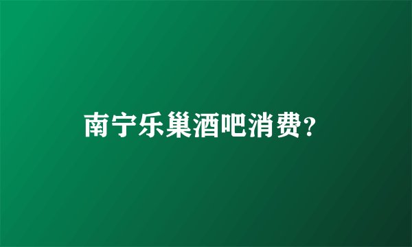 南宁乐巢酒吧消费？