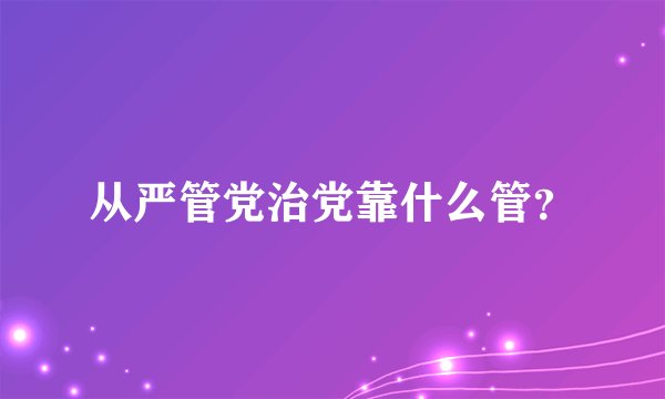 从严管党治党靠什么管？
