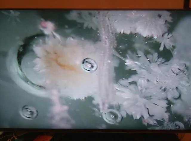 宇宙四大未解谜团是什么?