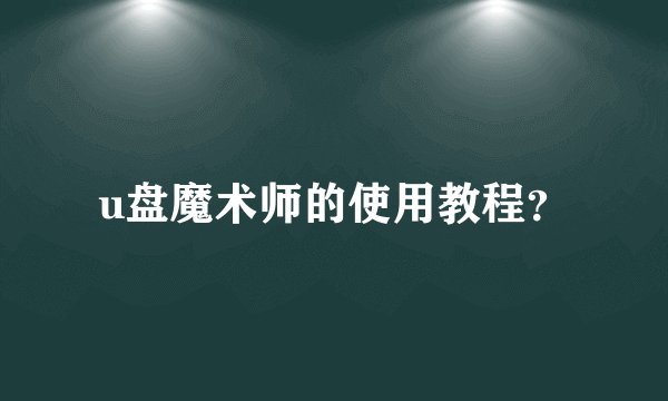 u盘魔术师的使用教程？