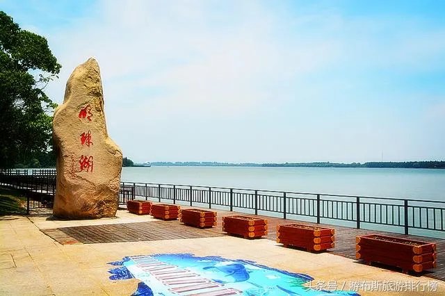 崇明有什么好玩的地方?