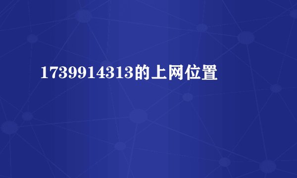 1739914313的上网位置